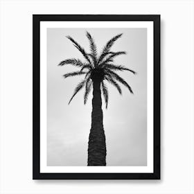 Palm Love Art Print