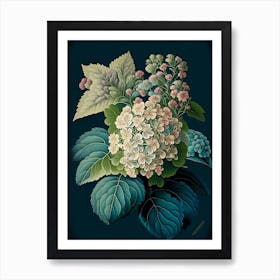 Hydrangea 3 Floral Botanical Vintage Poster Flower Art Print