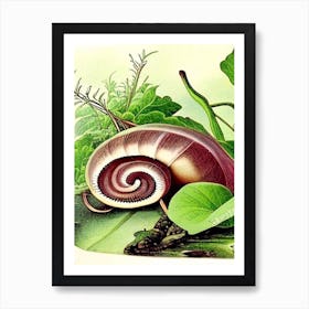 Snail By Freshwater Stream Botanical Art Print