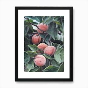 Peach Tree Art Print