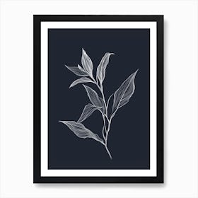 Pencil Drawing Of A Plant Art Print