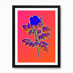 Neon Leschenault's Rose Botanical in Hot Pink and Electric Blue Art Print