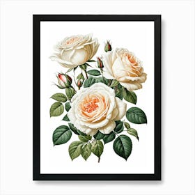 Vintage Galleria Style Rose Art Painting 14 Art Print