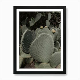 Cactus Art Print