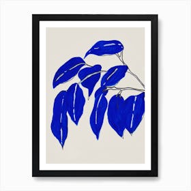 Ficus 2 Art Print