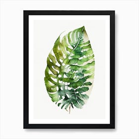 Shield Fern Watercolour Art Print