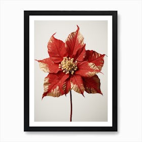 Pressed Flower Botanical Art Poinsettia 2 Art Print