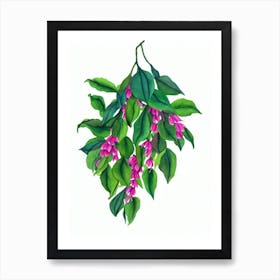 Fuchsia Plant (Fuchsia Hybrids) Watercolor Art Print