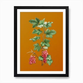 Vintage Redcurrant Plant Botanical on Sunset Orange n.0272 Art Print