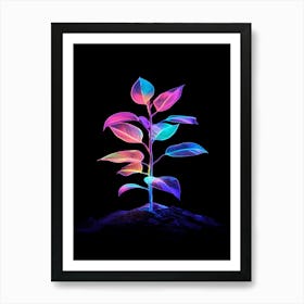 Plant On Black Background Art Print