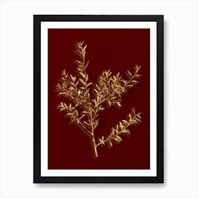 Vintage Myrtle Dahoon Branch Botanical in Gold on Red Art Print