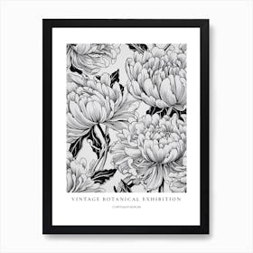 Chrysanthemum B&W Vintage Botanical Poster Art Print