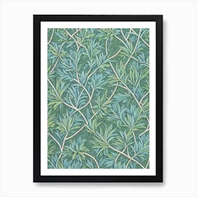 Lodgepole Pine 2 tree Vintage Botanical Art Print