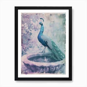 Lilac & Blue Peacock In A Fountain Cyanotype Inspired Art Print