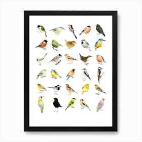 Birds Art Print