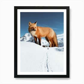 Giant Red Fox In The White Snow Art Print