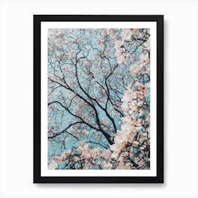 Magnolia Tree Art Print