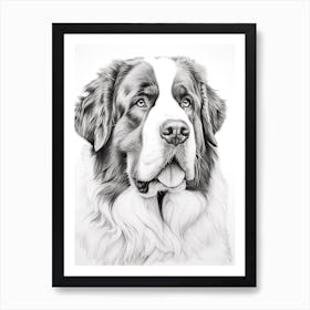 Saint Bernard Dog, Line Drawing 1 Art Print