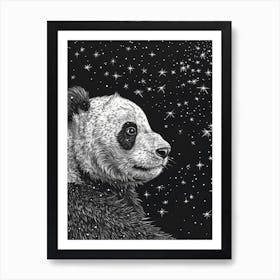 Giant Panda Looking At A Starry Sky Ink Illustration 2 Art Print