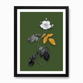 Vintage Big Leaved Climbing Rose Black and White Gold Leaf Floral Art on Olive Green n.0171 Art Print