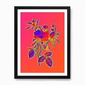 Neon Cabbage Rose Botanical in Hot Pink and Electric Blue n.0303 Art Print