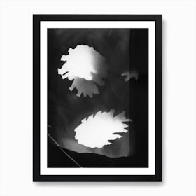 Black And White Pine Cones Photogram Art Print