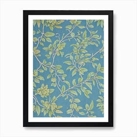 Pummelo Leaves Vintage Botanical Fruit Art Print