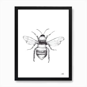 Black and White Honeybee Art Print