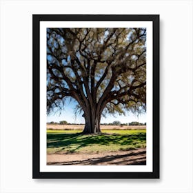 Large Oak Tree Art Print