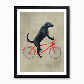 Labrador On Bicycle Art Print