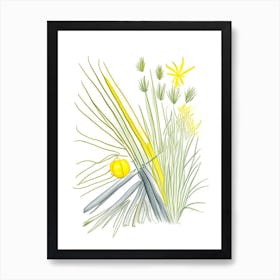 Lemon Grass Spices And Herbs Pencil Illustration 5 Art Print