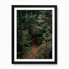 Fall Trail II Art Print