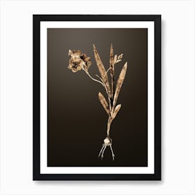 Gold Botanical Ixia Miniata on Chocolate Brown n.2373 Art Print