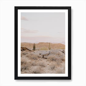 Pink Desert Sunset Art Print