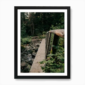 Wooden Footbridge Art Print