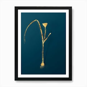 Vintage Cape Tulip Botanical in Gold on Teal Blue n.0260 Art Print
