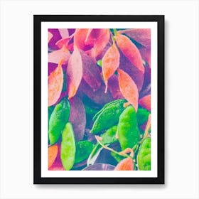 Edamame 2 Risograph Retro Poster vegetable Art Print