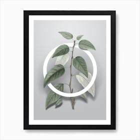 Vintage Balsam Poplar Leaves Minimalist Botanical Geometric Circle on Soft Gray n.0437 Art Print