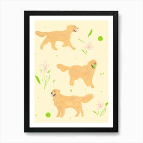 Happy Golden Retrievers with tennis balls Poster