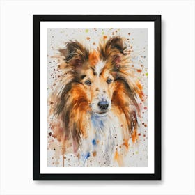 Shetland Sheepdog Watercolor Painting 4 Art Print