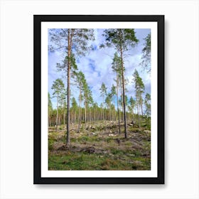 Swedish forrest 40901 Art Print