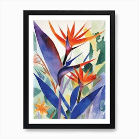 Bird Of Paradise Flower Illustration 3 Art Print