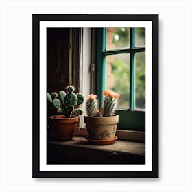 Pincushion Cactus Window 2 Art Print