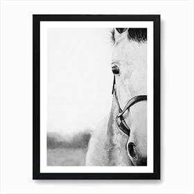 Monochrome Horse Portrait  Art Print