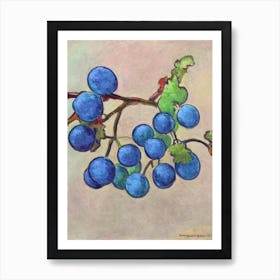 Grapes Vintage Sketch Fruit Art Print