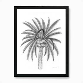 Palm Tree Leaves Drawing Art Print