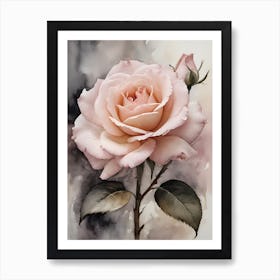 Vintage Muted Blush Pink Roses Painting (5) Art Print