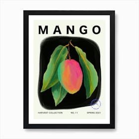 Mango Fruit Kitchen Typography Art Print