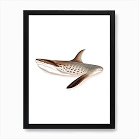 Carpet Shark 2 Vintage Art Print