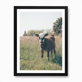 Baby Brown Cow Art Print